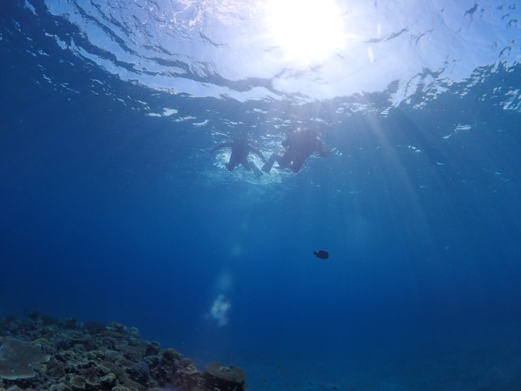 本部 水納島
