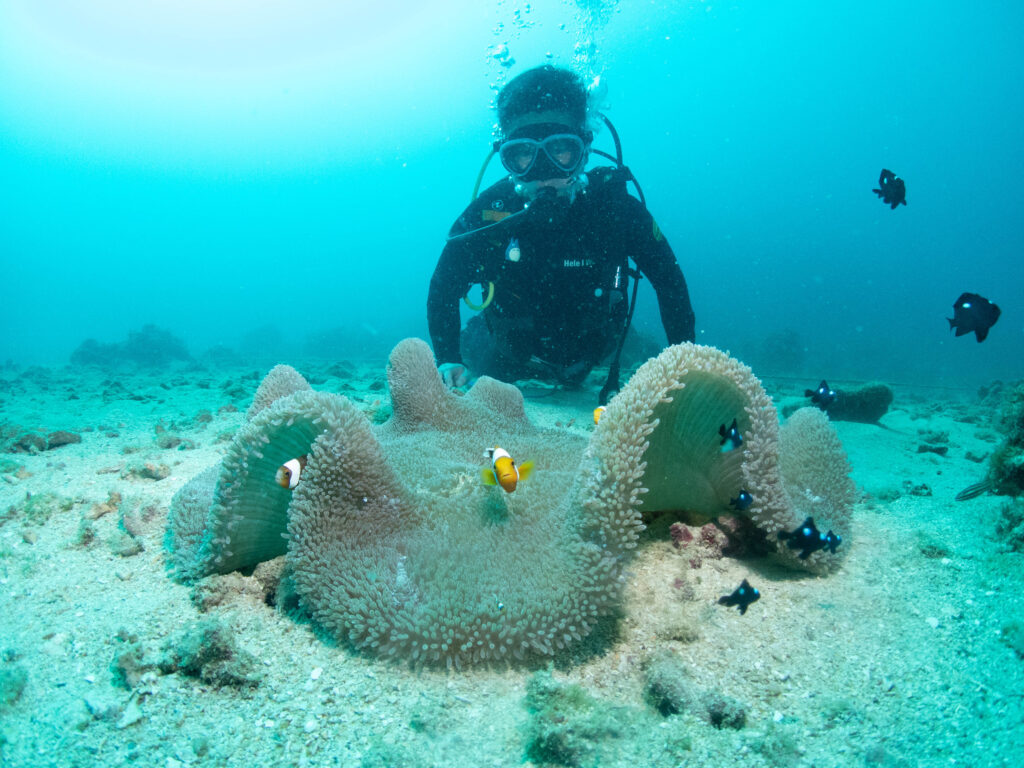 沖縄 ダイビング