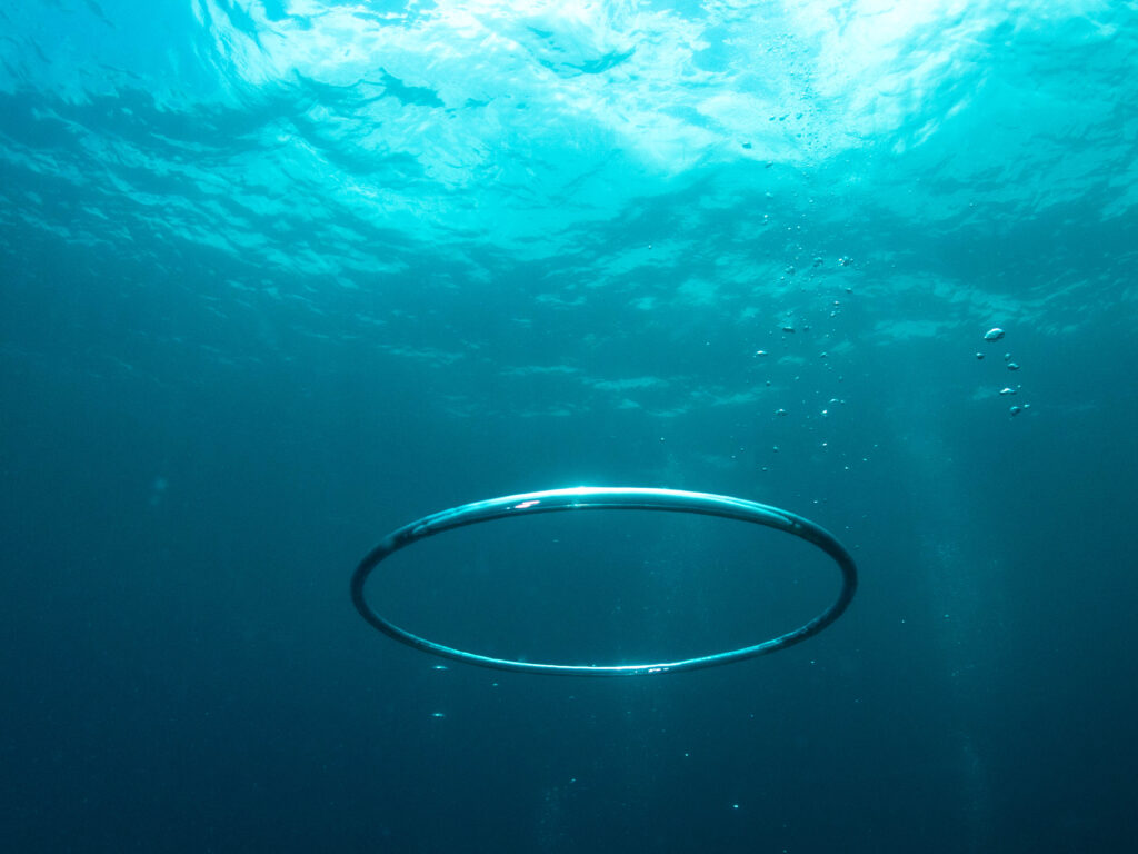 沖縄 ダイビング