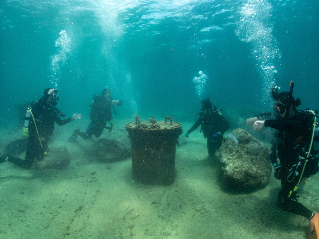 沖縄 ダイビング