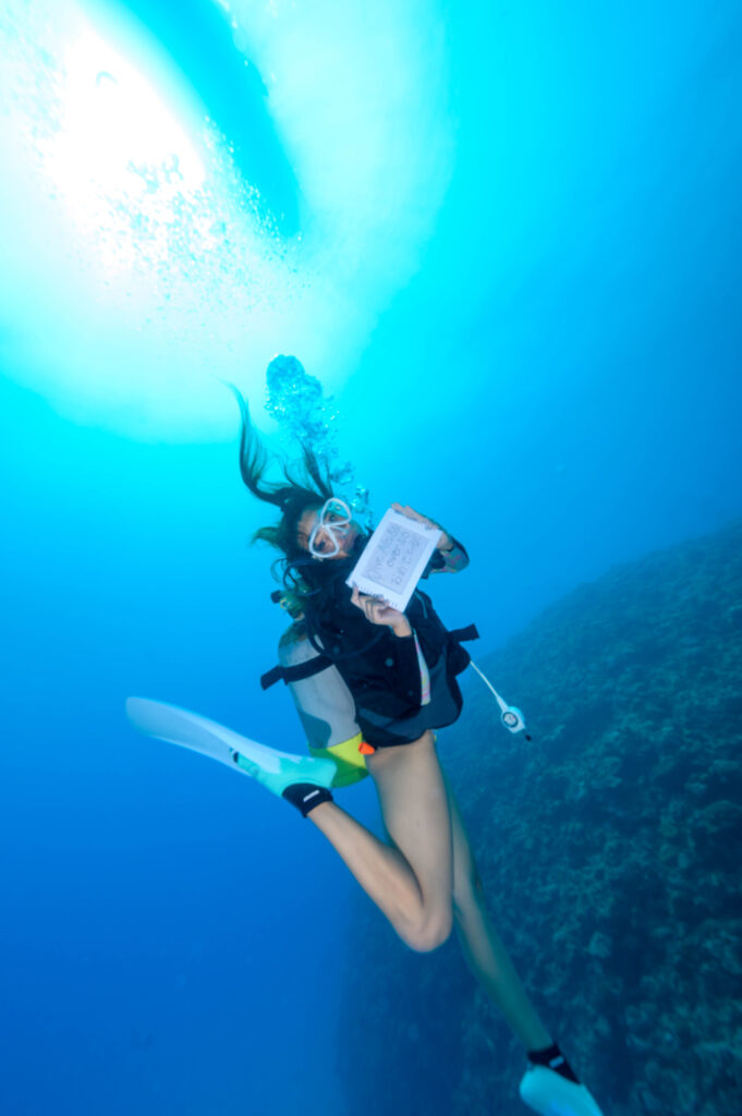 糸満 ファンダイビング