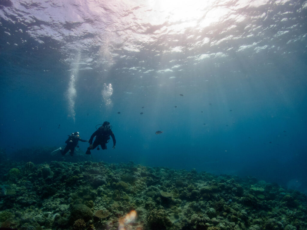 慶良間 体験ダイビング