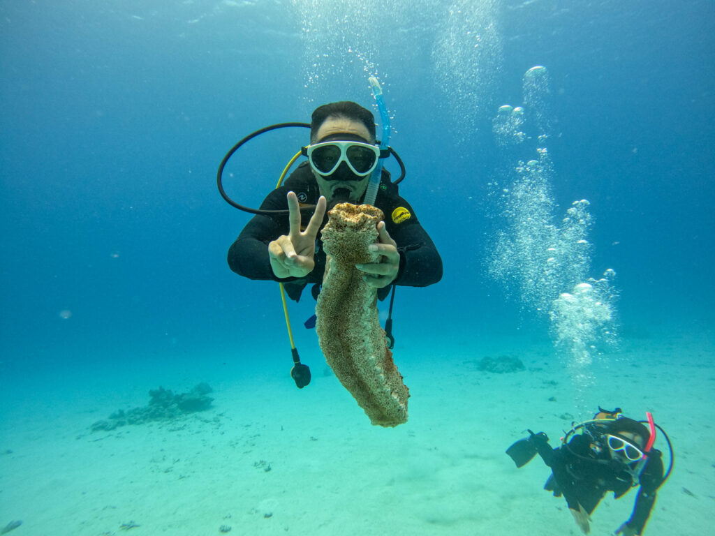 慶良間　ダイビングライセンス