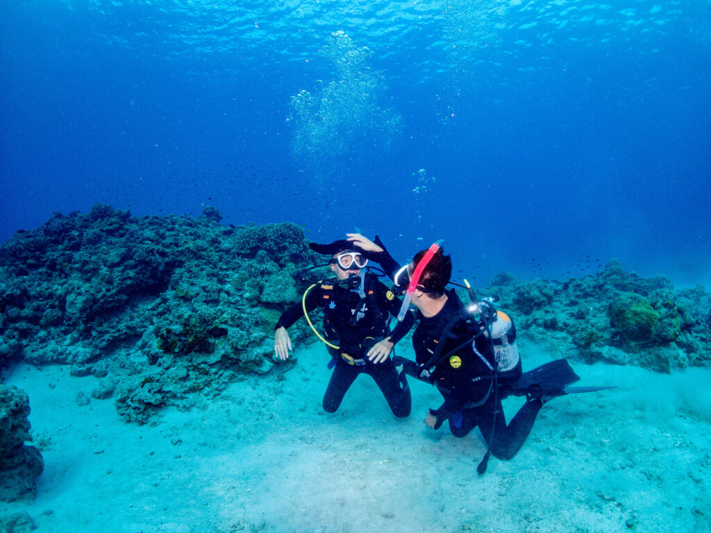 慶良間　ダイビングライセンス