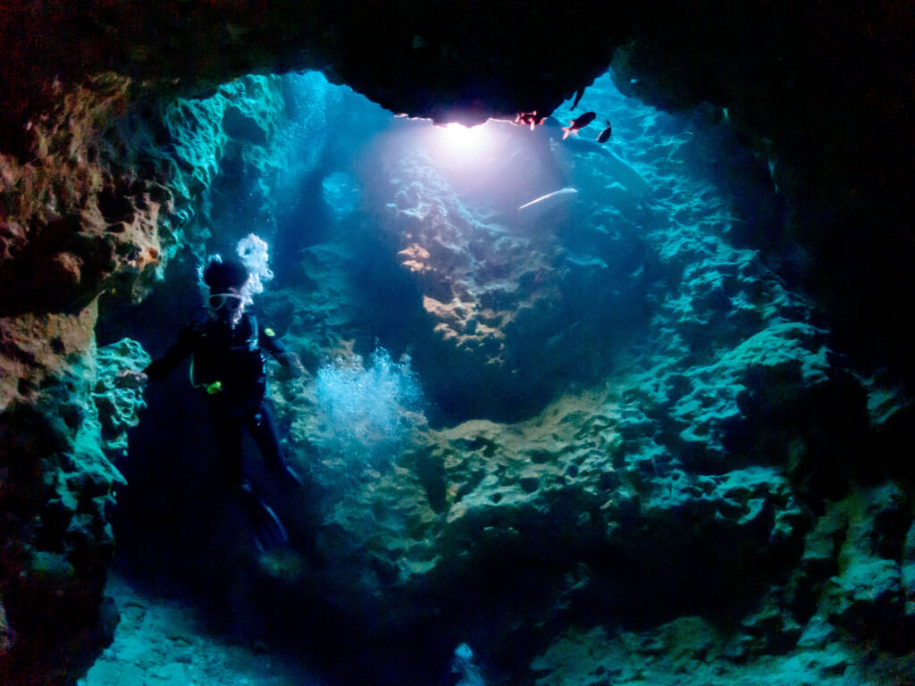 万座 ボートチャーターツアー