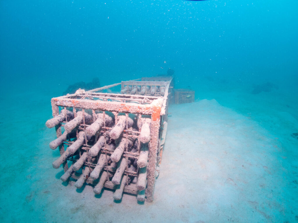無人島 ダイビングツアー