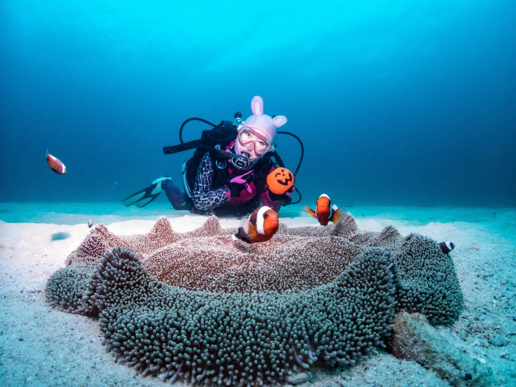 万座　ダイビング