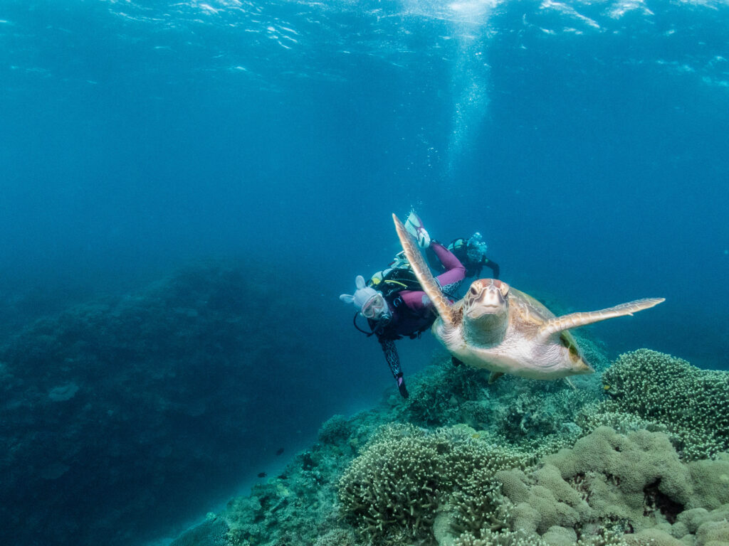 万座　ダイビング