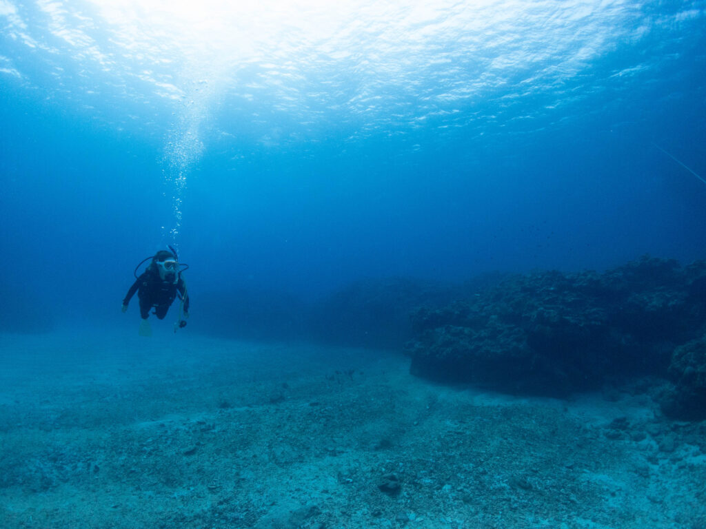 慶良間　ダイビングライセンス