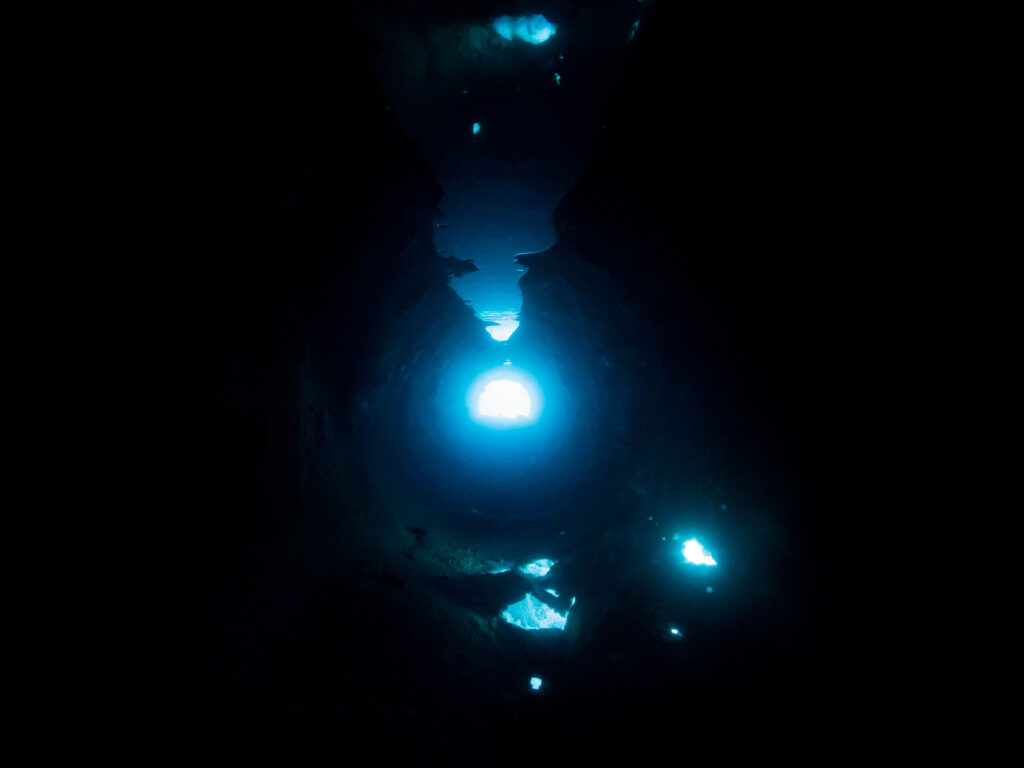 沖縄　リハビリダイビング