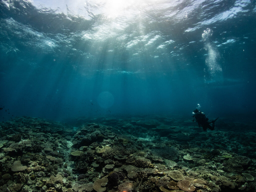 万座　ファンダイビング