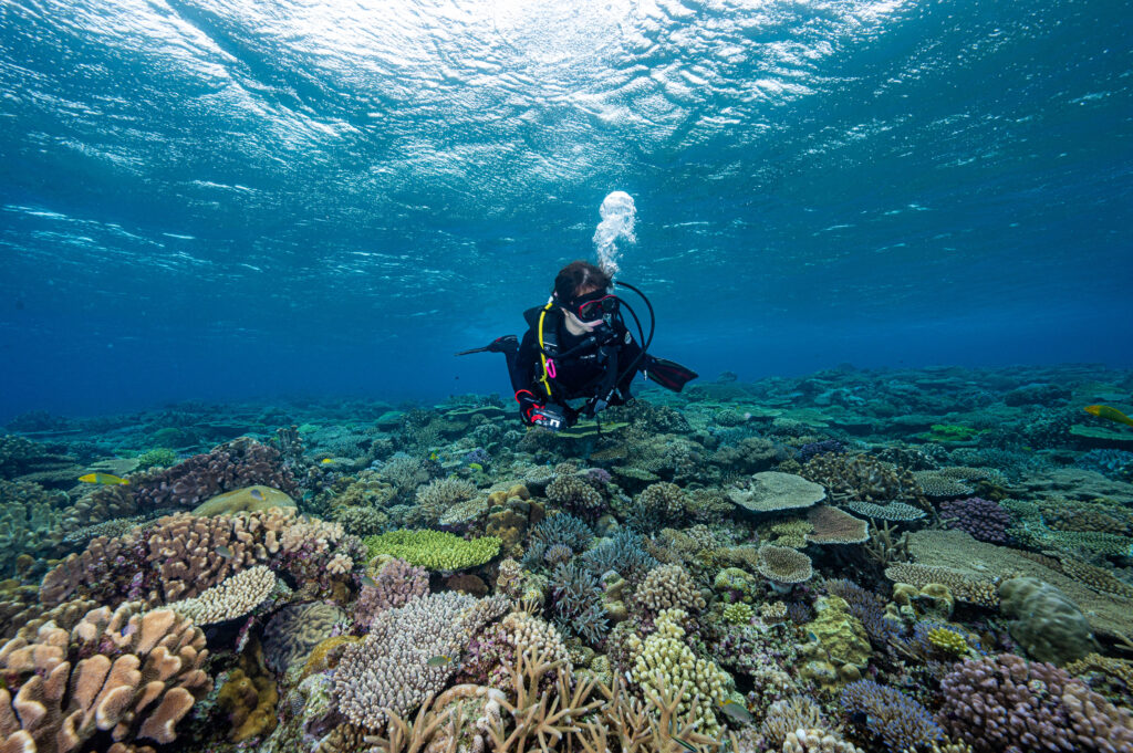 水納島　ダイビング
