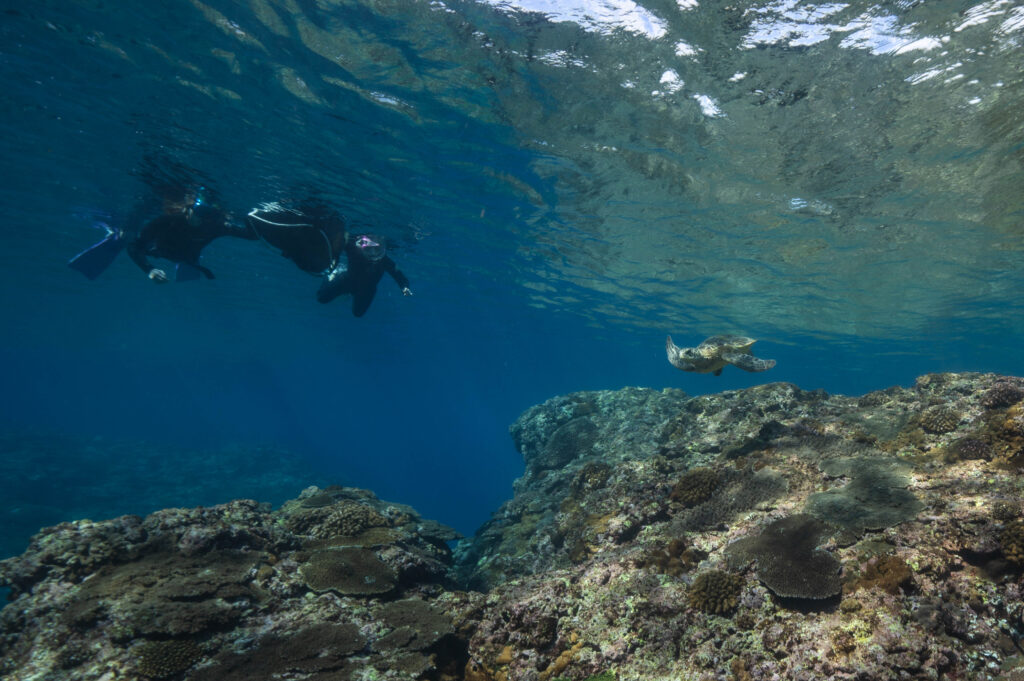 沖縄 スキンダイビング女子