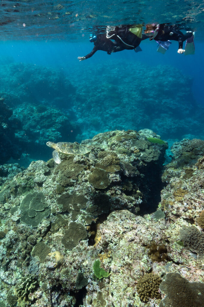 沖縄 スキンダイビング女子