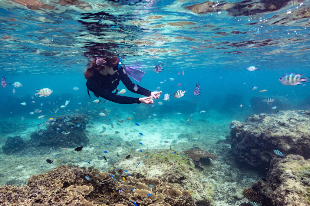沖縄 スキンダイビング女子