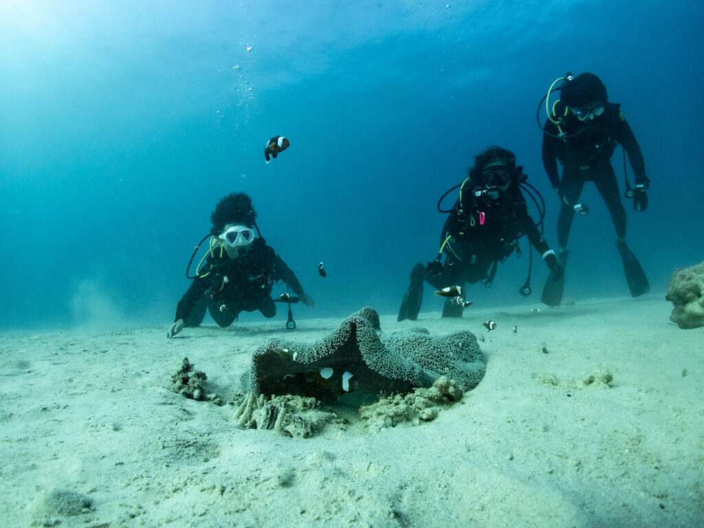 万座　ファンダイビング