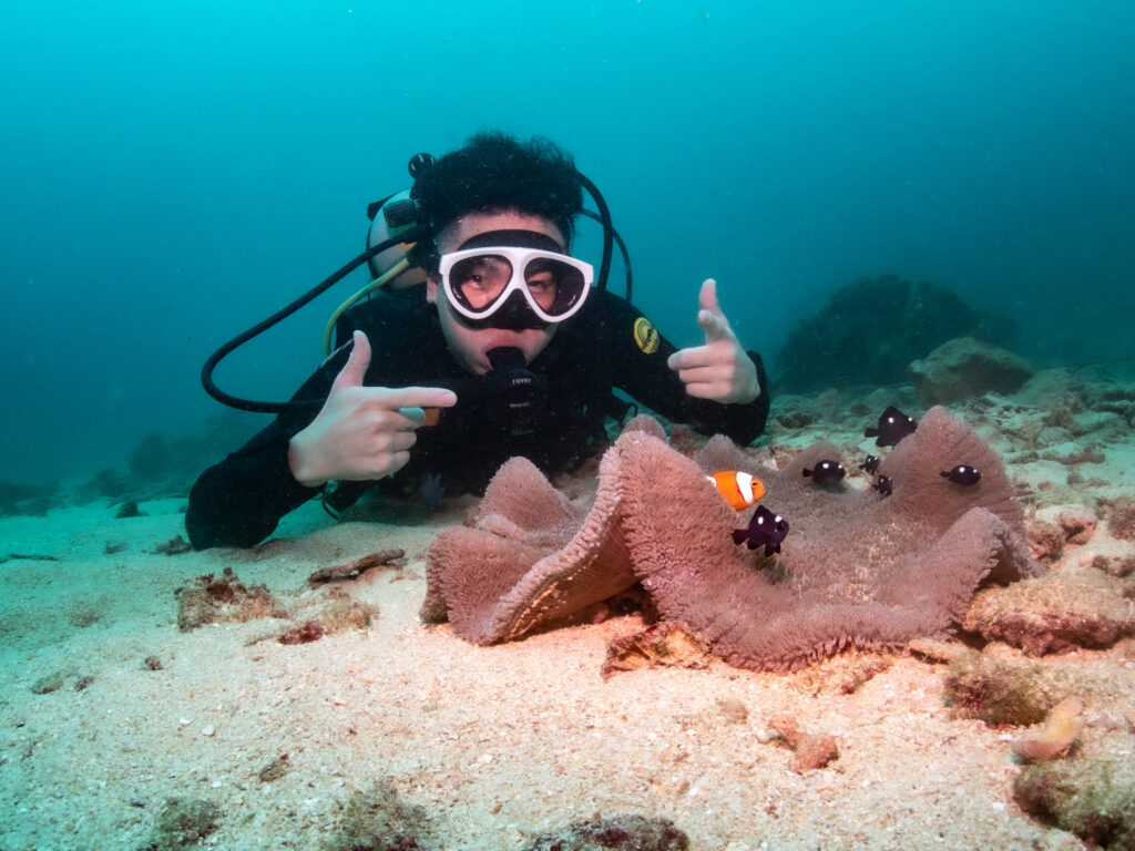 アドバンスダイバー講習 沖縄