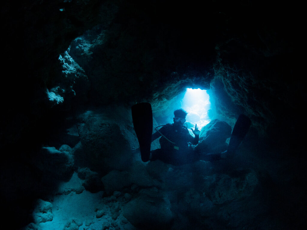 慶良間 ダイビングライセンス