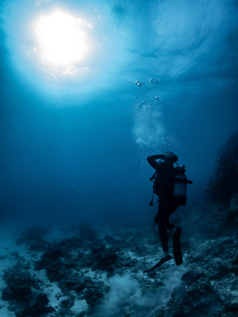 慶良間 ダイビングライセンス