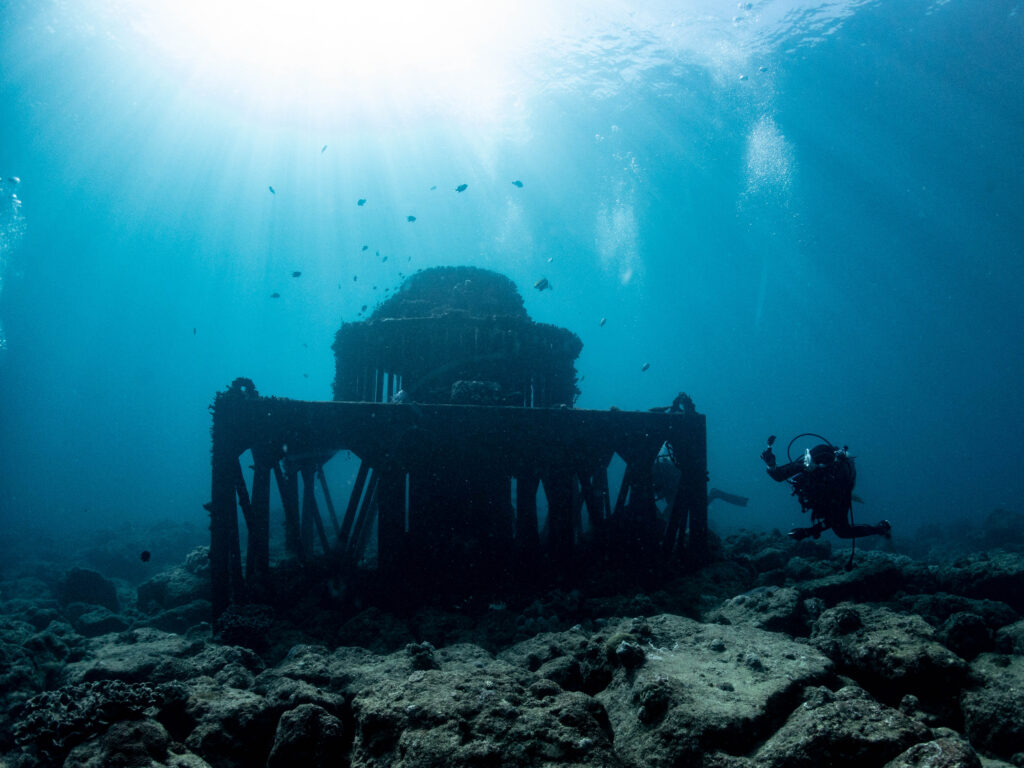 沖縄 ダイビング