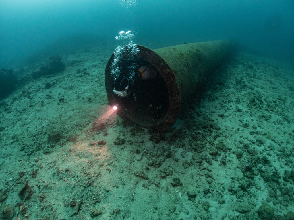 沖縄 ダイビング