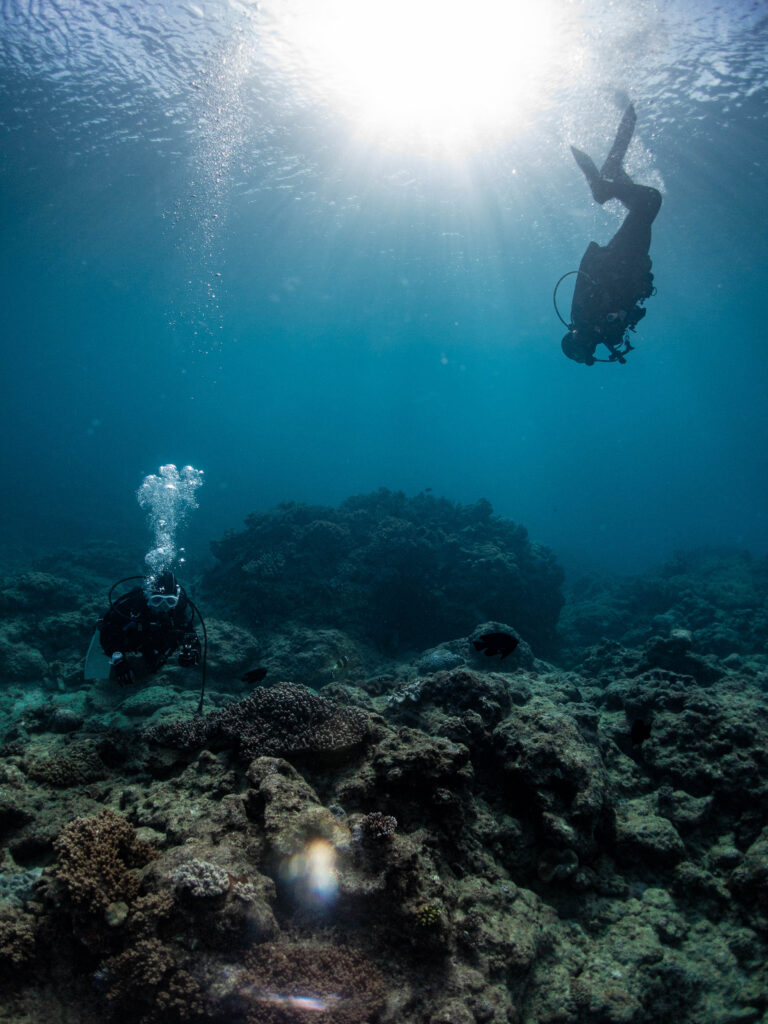沖縄 ダイビング