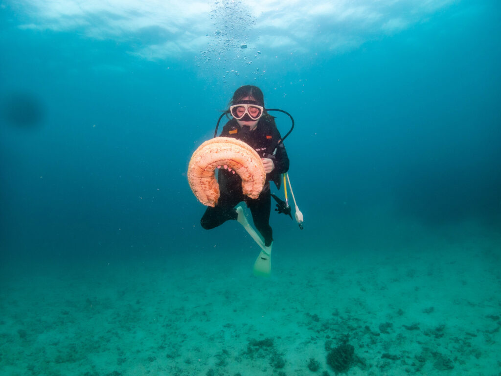 恩納村 ダイビング