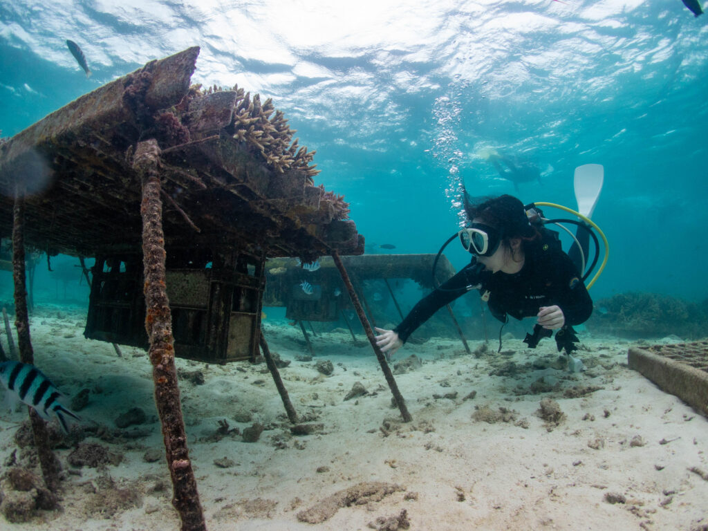 恩納村 ダイビング