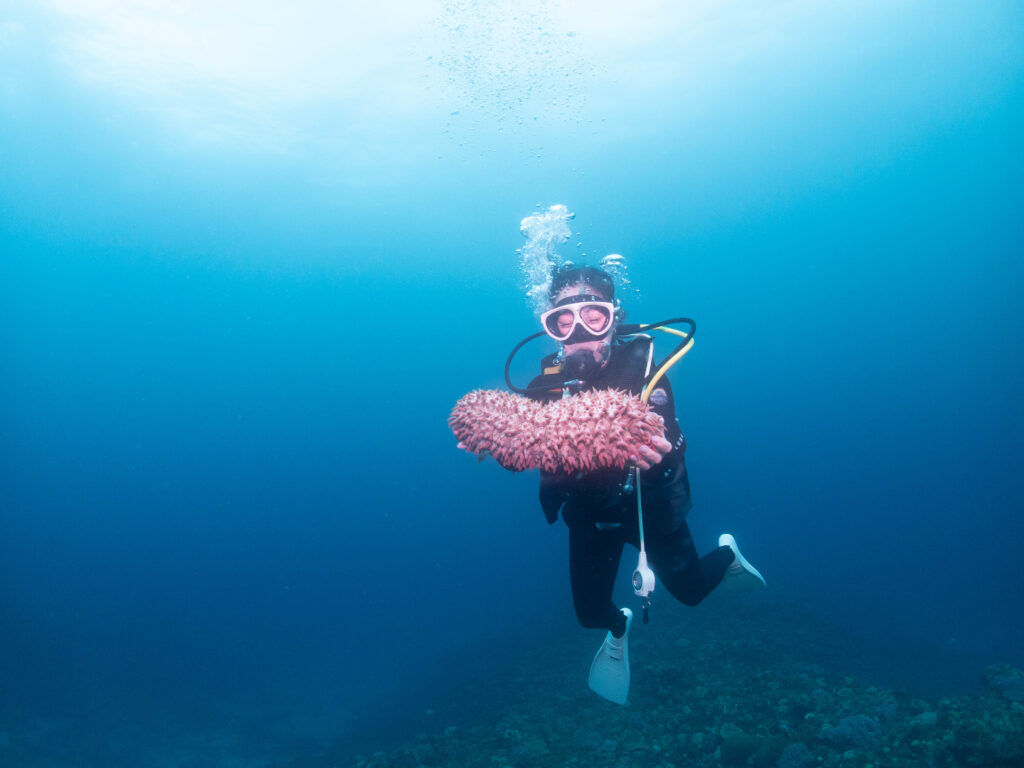 沖縄 東海岸 ダイビング