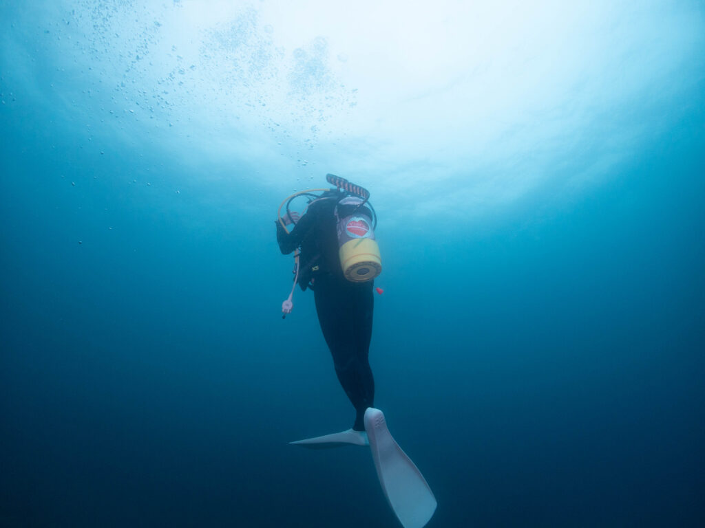 沖縄 東海岸 ダイビング