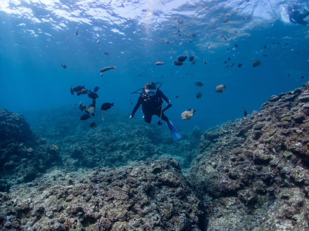 PADI アドヴァンス講習