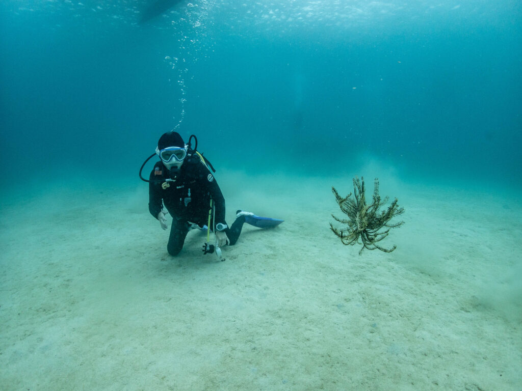 PADI アドヴァンス講習
