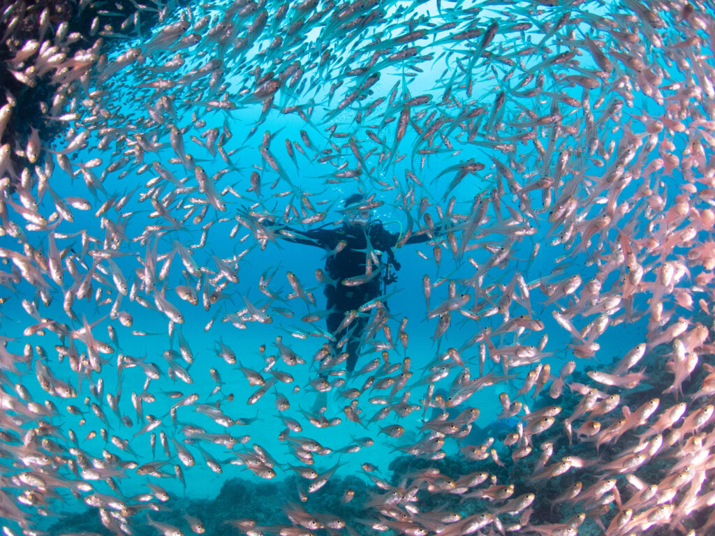 PADI アドバンス講習