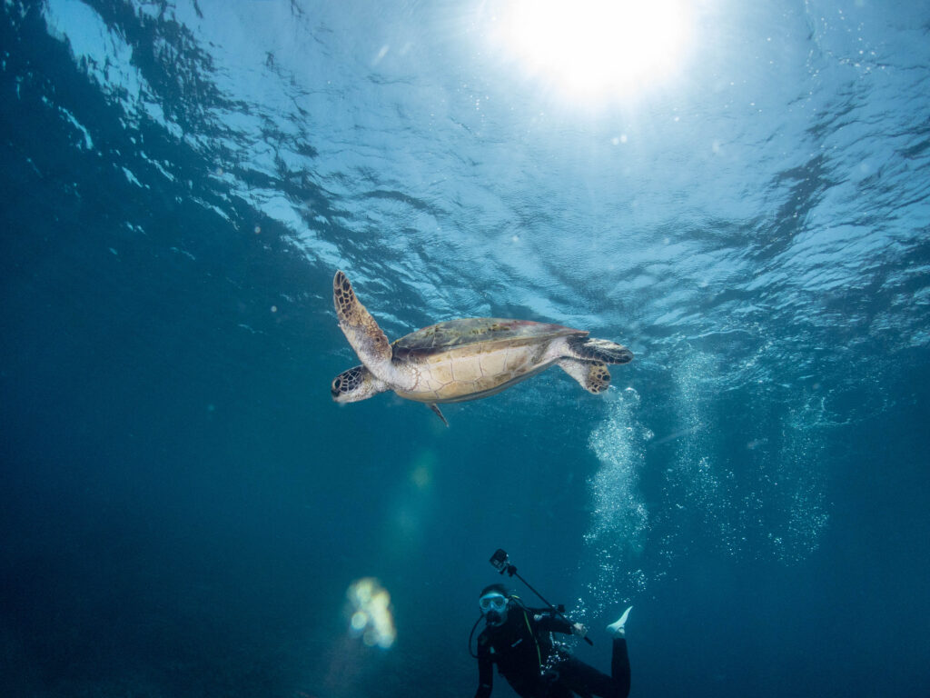 恩納村 アドバンス講習