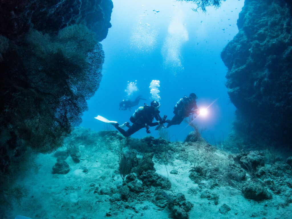 恩納村　ダイビング