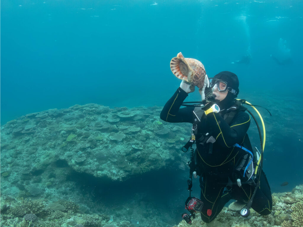恩納村　ダイビング