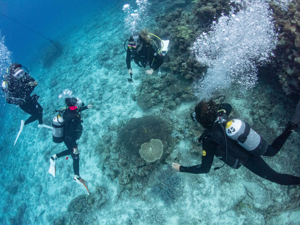 水納島 ダイビング