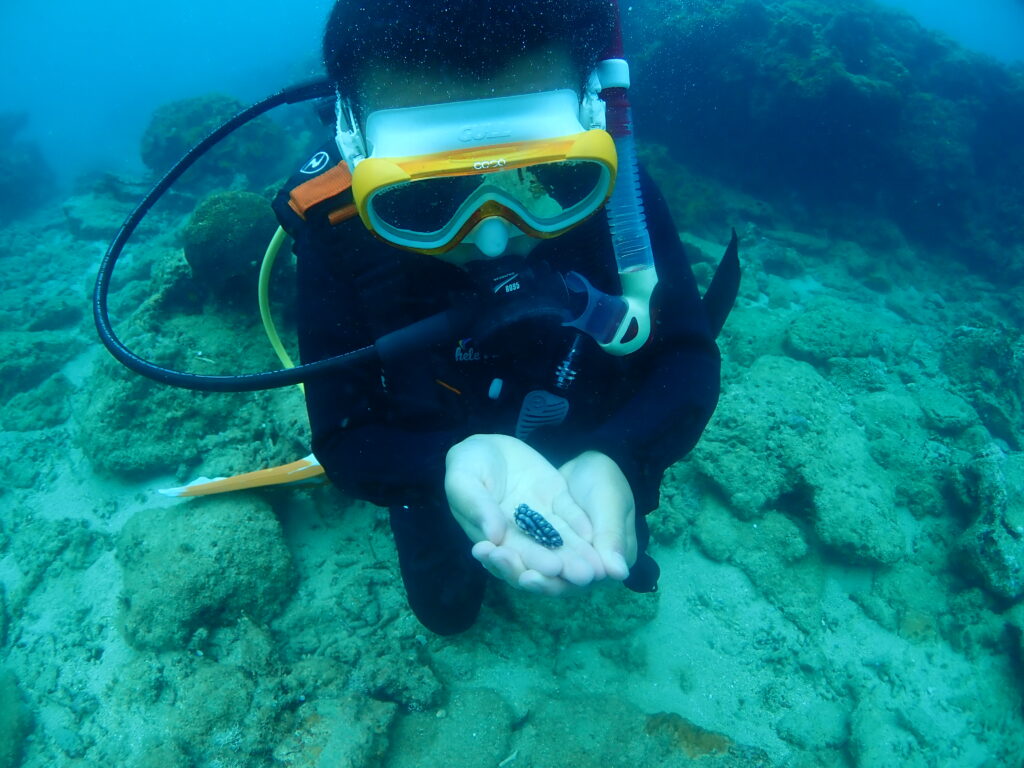 砂辺 オープンウォーター講習