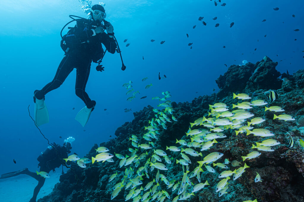 水納島 ダイビング
