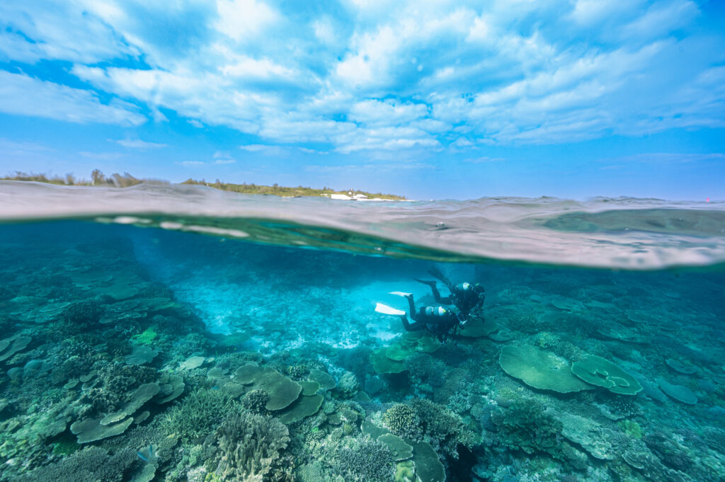 水納島 ダイビング